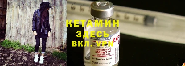 ECSTASY Гусь-Хрустальный