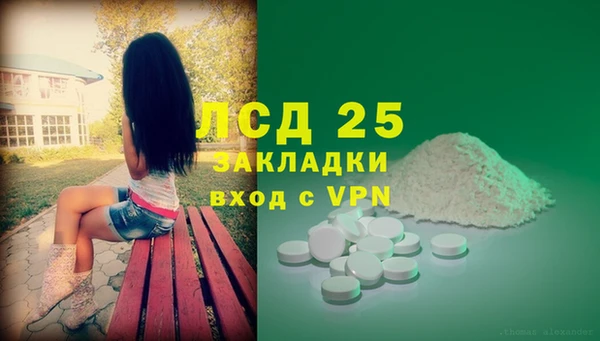 ECSTASY Гусь-Хрустальный