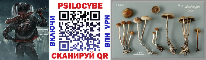 omg   купить наркоту  Тавда  Псилоцибиновые грибы прущие грибы 
